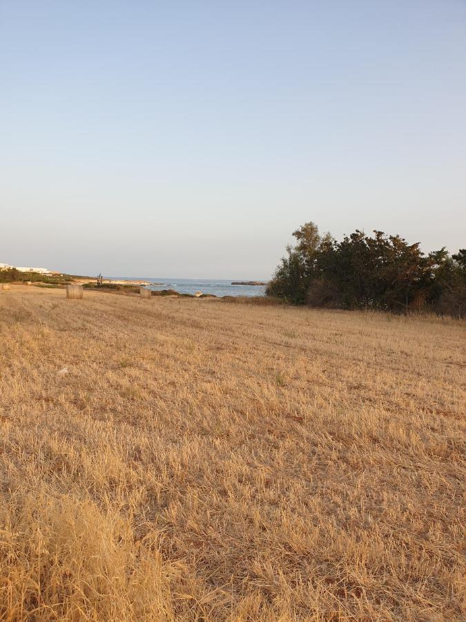 Ikaria Village Maisonette 12 파포스 외부 사진