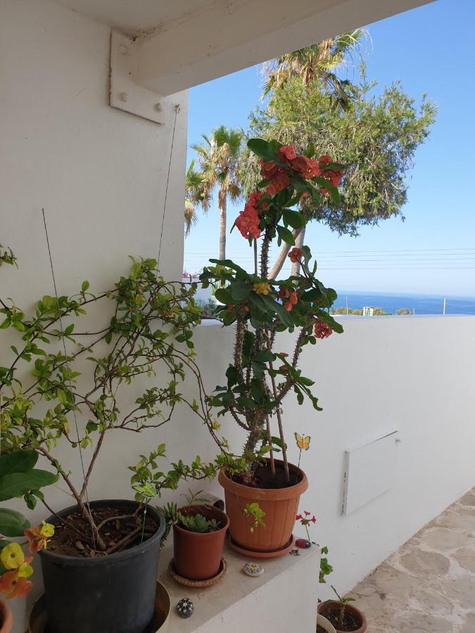 Ikaria Village Maisonette 12 파포스 외부 사진