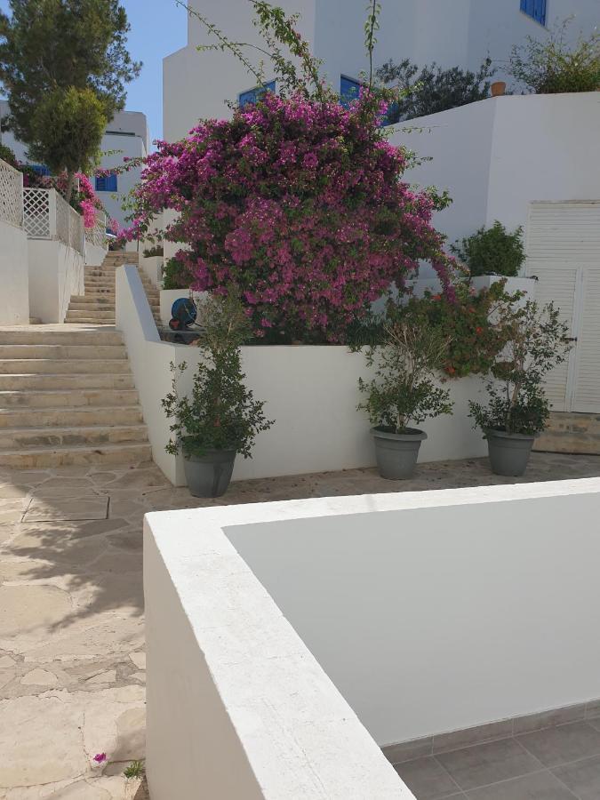 Ikaria Village Maisonette 12 파포스 외부 사진